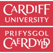 Universidad de Cardiff